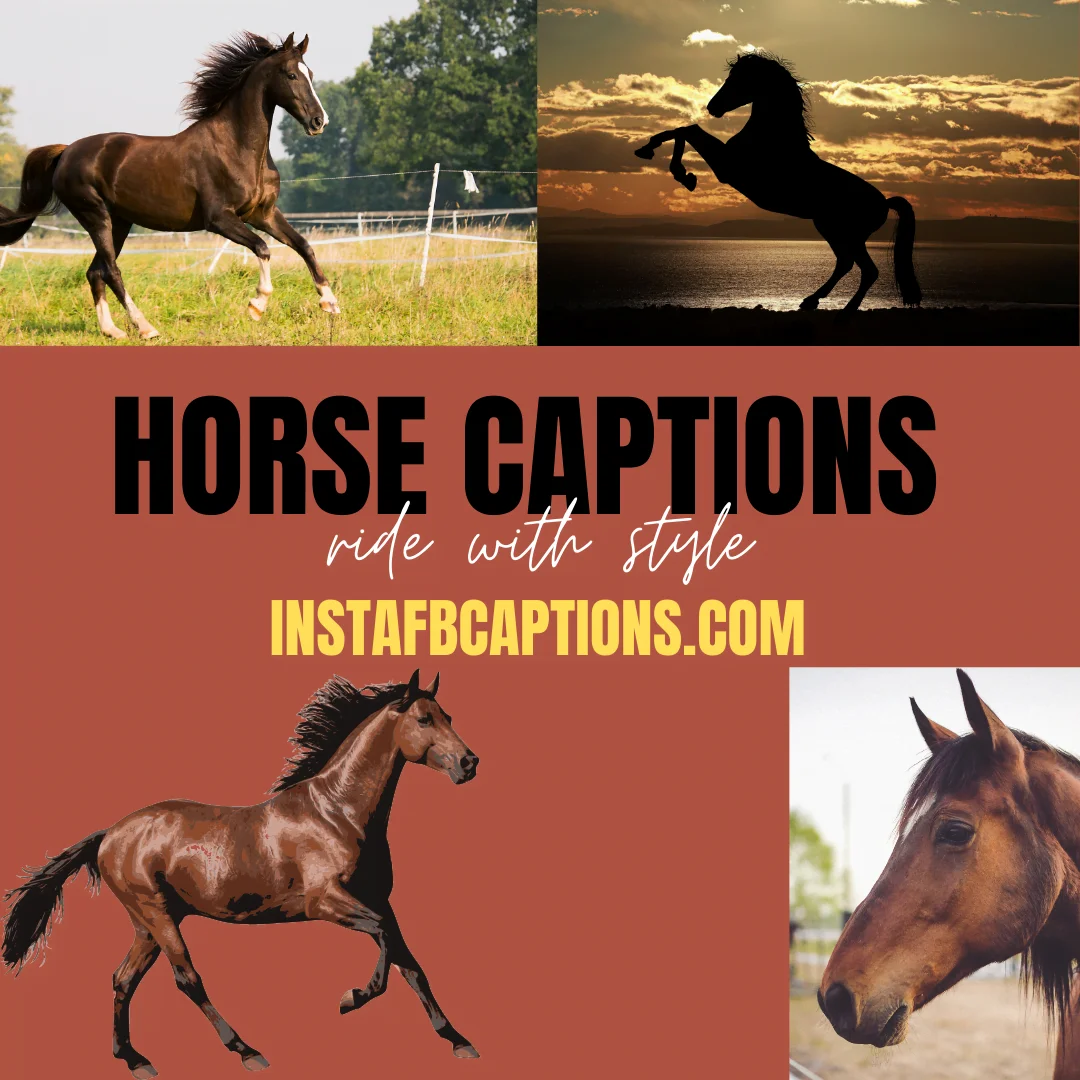 Captivating Horse Riding Captions