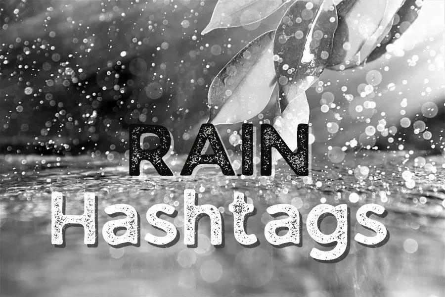 Rain Hashtags for Instagram