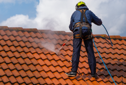 Roof Cleaning Service